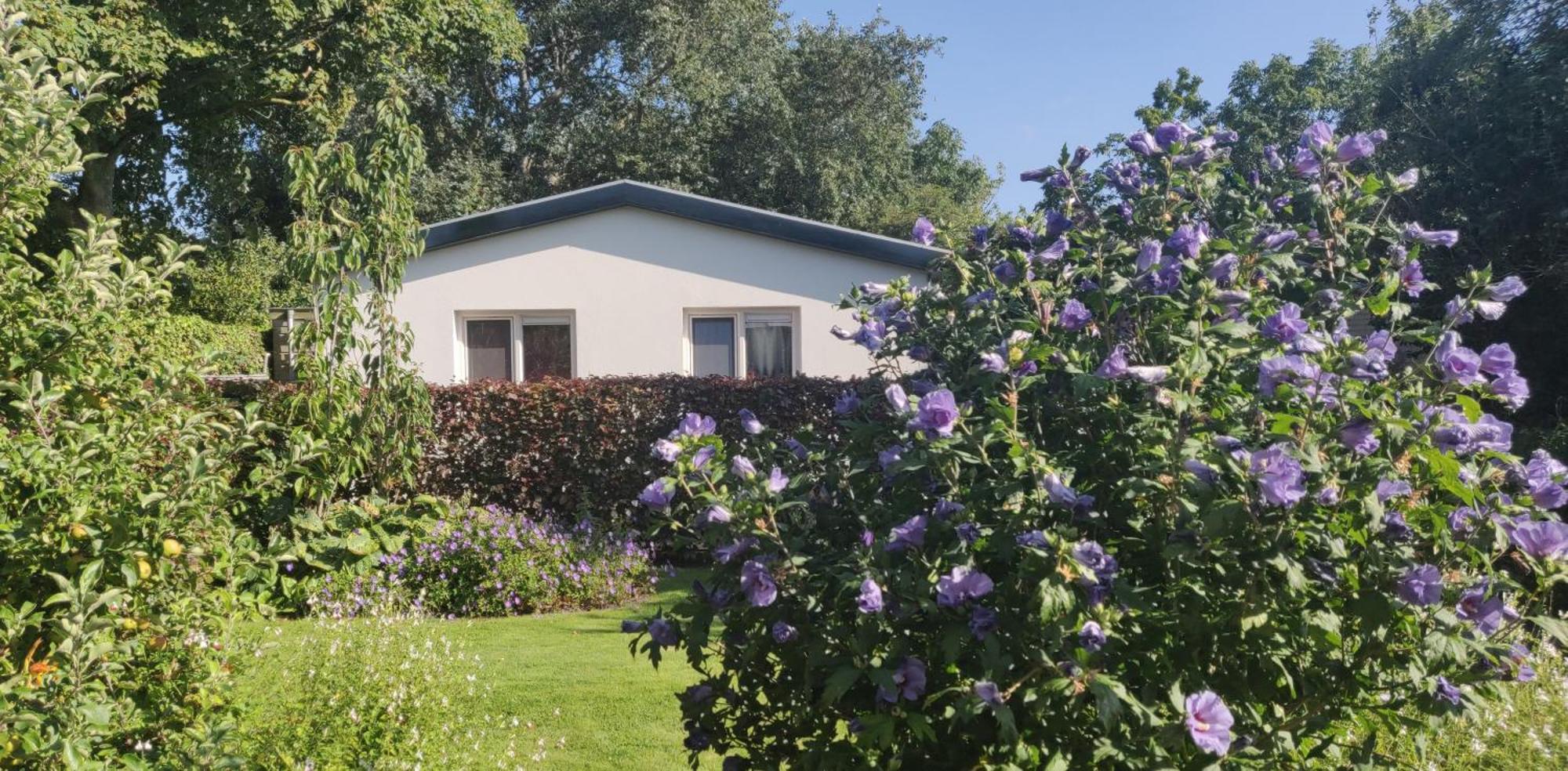 Vakantiebungalow Texel De Cocksdorp  Exterior photo